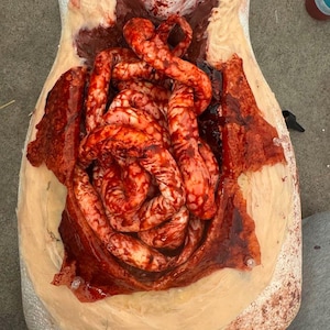 Può includere: Un modello di simulazione medica che raffigura una cavità addominale aperta. Il modello presenta intestini esposti e dall'aspetto realistico e tessuti circostanti, con sangue simulato. Il modello è ambientato su uno sfondo neutro.