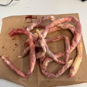 Fake Intestines Prop | Halloween | Film Prop | Horror | Cosplay - Etsy