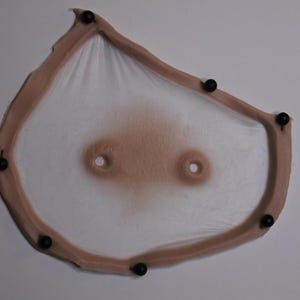 Puede incluir: Una prótesis mamaria con un borde color piel y un área central con dos aberturas para los pezones. La forma se asegura con pequeñas cuentas negras alrededor del perímetro. El centro tiene un área sombreada más oscura.