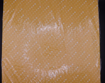 ¡Estampando! Dandy Designs Papel Designer Series de 12.0 x 12.0 in (48 páginas)