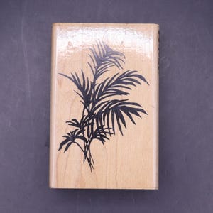 Timbro di gomma Stampendous Palm Fronds (M111)