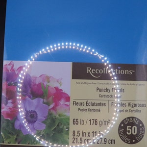 Papel de cartulina Recollections Punchy Florals 8.5"x11"