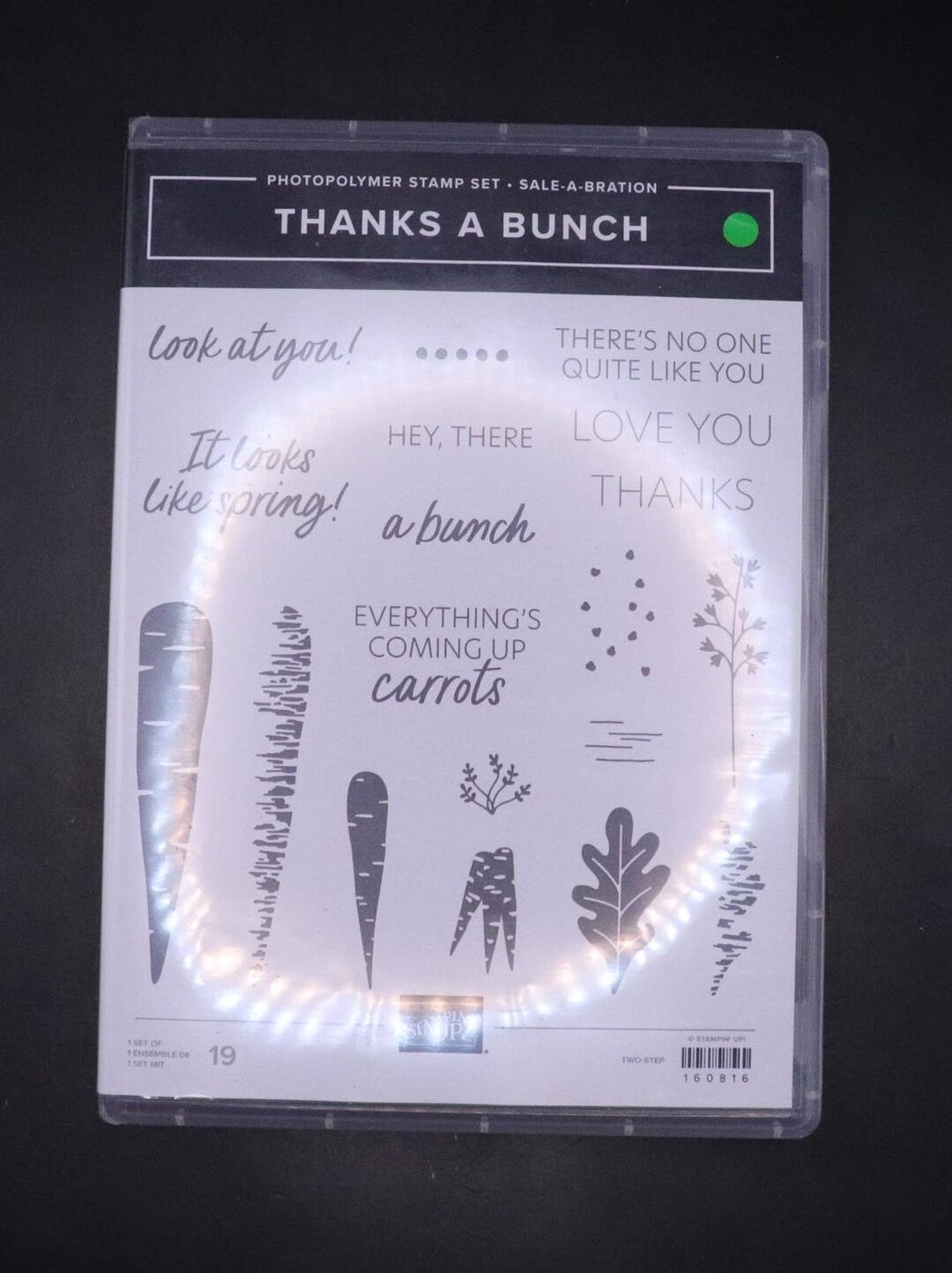 Thanks a Bunch Stamp Set From STAMPIN UP - Etsy