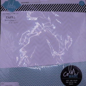 Color Magic Heidi Swapp 12x12 Paper Pack (12 sheets)