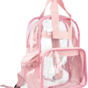 Pu&ograve; includere: Uno zaino rosa trasparente con una tasca frontale e una maniglia superiore. Lo zaino ha finiture e cerniere rosa. L'interno dello zaino &egrave; visibile attraverso il materiale trasparente.