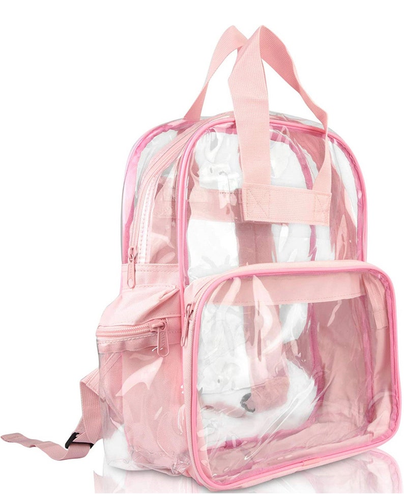 Pu&ograve; includere: Uno zaino rosa trasparente con una tasca frontale e una maniglia superiore. Lo zaino ha finiture e cerniere rosa. L'interno dello zaino &egrave; visibile attraverso il materiale trasparente.