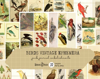 Birds Vintage Ephemera, Wildlife Printable for Junk Journals (PDF & JPEG)