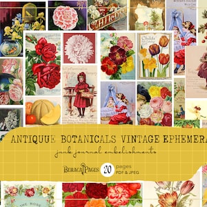 Objets éphémères botaniques anciens, complément de journal de fleurs vintage, étiquettes florales imprimables, album numérique de roses rouges, cartes ATC