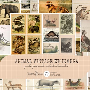 Animal vintage ephemera, safari junk journal add on, printable tags, digital scrapbooking, card embellishments, collage sheet, old documents