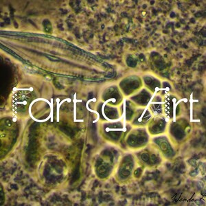 May include: Microscopic image of green algae cells and a diatom, with the text "Artscy Art" superimposed on the image.