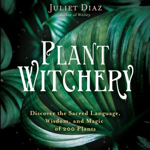 Puede incluir: Portada de libro con un fondo verde de hojas y el título "PLANT WITCHERY" en texto blanco. El subtítulo es "Descubre el lenguaje sagrado, la sabiduría y la magia de 200 plantas".