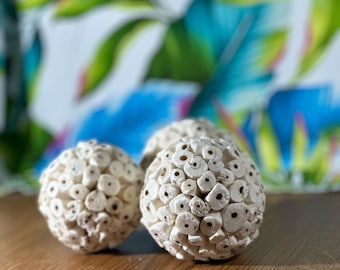 Juguete para pájaros de madera Sola: dos tamaños