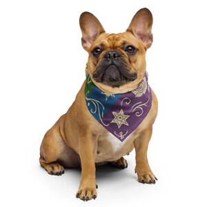 Pansexual Western All-over print bandana, LGBTQ Gift