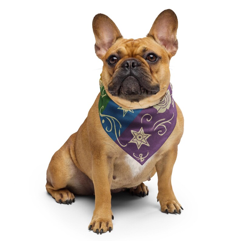 Pansexual Western All-over print bandana, LGBTQ Gift