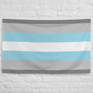 Demiboy Pride Flag, All Over Print LGBTQ+ Gender Identity Flag, Queer Parade Party Fun Decor, Demiboy Wall Banner, Transmasc Boy Pride Gift