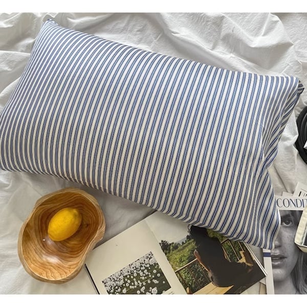 Blue & White Striped Silk Pillowcas for Modern bedroom - 22 momme Mulberry Silk Pillowcase for Men and Woman anti-wrinkle and Hair Breakage