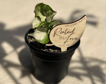 Personalized Plant Stake Wedding Favors • Rooted in Love Plant Tags • Personalized Plant Stake Favor • Custom Plant Event Favor Tags