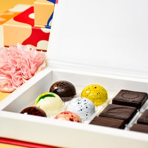 Signature Chocolate Selection 12 - Luxury Chocolate Bonbons - Perfect Chocolate Gift