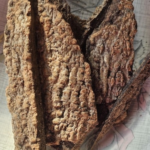 Puede incluir: Primer plano de varias piezas de corteza seca, con una superficie rugosa y texturizada y un color marrón.