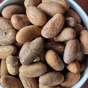 Bitter Kola (Orogbo)