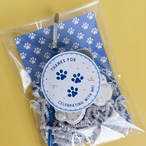 Coloring Party Favors Paint Party Favors Kids Art Painting Kits Paw Party Favors Paw Birthday Paw Party Favors Paw Painting Kit Paw Coloring