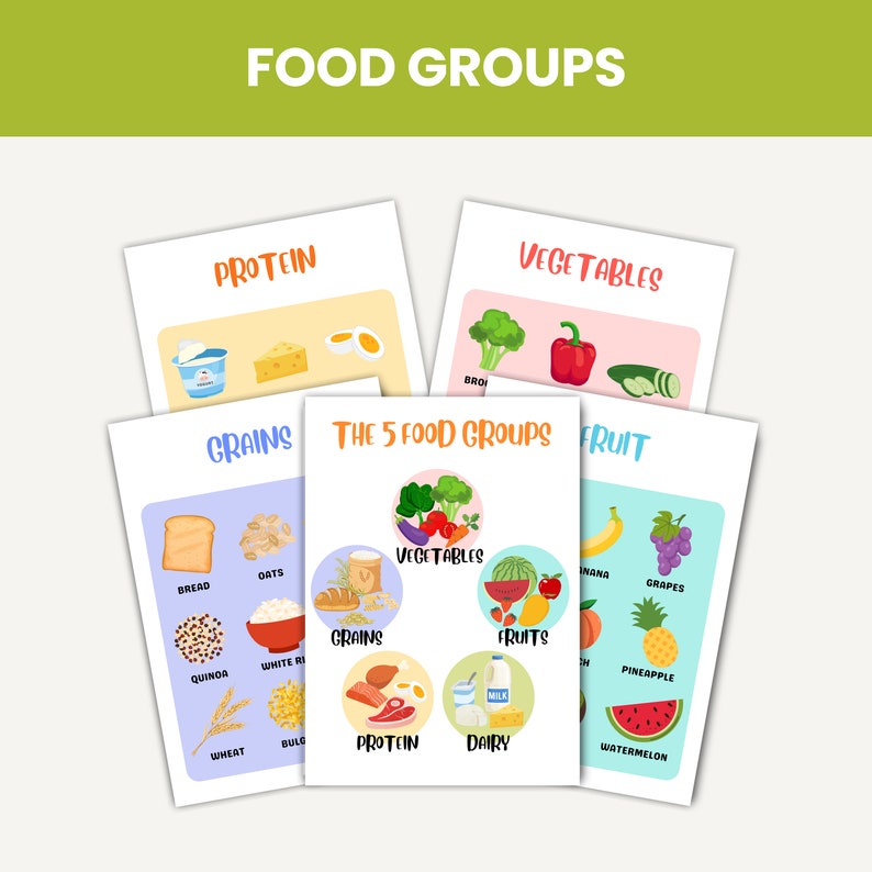 May include: A colorful chart illustrating the five food groups: grains, vegetables, fruits, protein, and dairy. Each group is represented by a circle with a cartoon image of food items. The chart is titled "The 5 Food Groups".