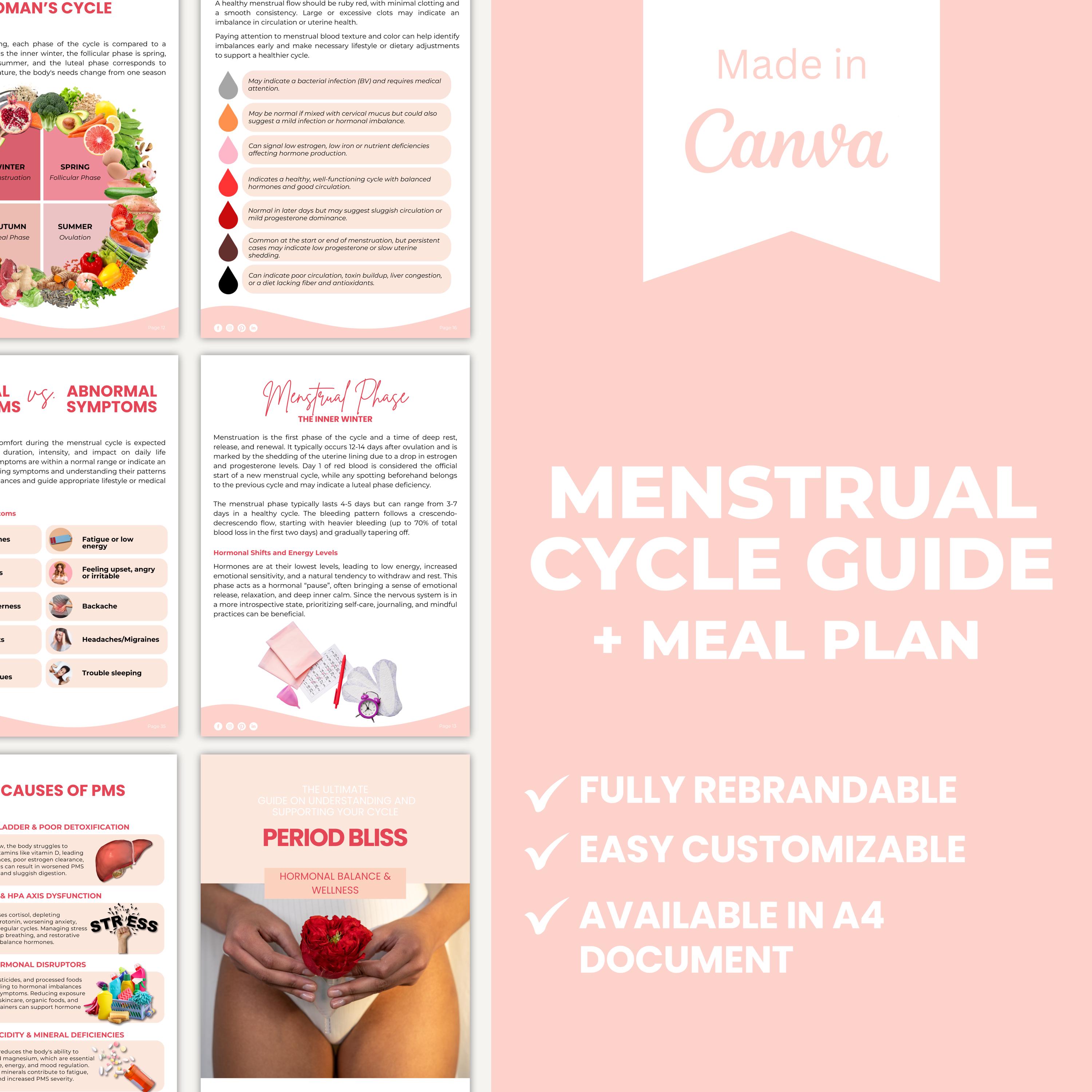 Menstrual Cycle Guide Editable Canva Template | Period Bliss | Women's Health | Cycle Harmony | Hormonal Balance | Nutrition | Inner Seasons