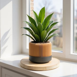 Könnte beinhalten: Eine Zimmerpflanze mit üppigem, grünem Laub in einem orange-grauen Topf mit Rippen. Der Topf steht auf einem runden Holztablett. Die Pflanze steht auf einer weißen Fensterbank in der Nähe eines Fensters.