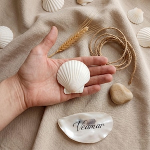 May include: A white scallop shell held in a palm, accompanied by a dried wheat stalk, a coiled jute twine, a smooth tan pebble, and several loose white seashells. A single oyster shell features the black cursive text Veamar printed on it.