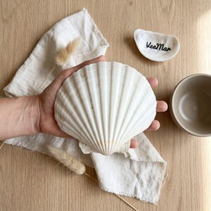 Large Scallop Shells – Premium Cleaned Coastal Seashells, Candle Holders, Statement Decor, Wedding Centerpieces | Seaside Tablescape