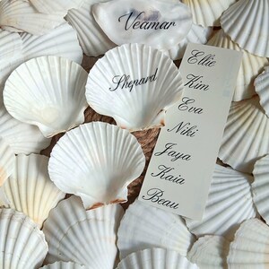 Könnte beinhalten: Eine Ansammlung weißer Kammmuscheln, einige davon mit schwarzen, kursiven Kalligrafienamen wie Veamar, Shepard, Ellie, Kim, Eva, Niki, Jaya, Kaia und Beau beschriftet. Die Muscheln sind gruppiert, ergänzt durch eine rechteckige Karte mit Namensliste.