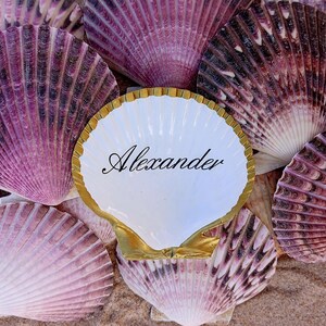 Könnte beinhalten: Eine weiße Jakobsmuschel mit gold bemaltem Rand und dem Namen Alexander in schwarzer Schreibschrift, platziert zwischen mehreren natürlichen violetten und weißen Jakobsmuscheln. Die Muschel hat eine glatte, glänzend weiße Innenseite.