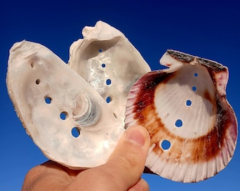 Drilled Oyster & Scallop Shells with Holes, Pre-Drilled Craft Supplies, Jewelry Shells, Garland Crafts, DIY Coastal Decor, Natural Seashells