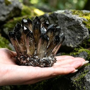 Puede incluir: Un racimo de cristales de cuarzo ahumado oscuro con terminaciones puntiagudas, que presenta un degradado de color marrón translúcido a negro. El espécimen mineral tiene una base densa de fragmentos de cristal más pequeños y dentados.