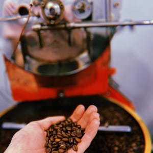 May include: A hand holding a small pile of dark brown roasted coffee beans. The beans are in focus, while the background is blurred and shows a large coffee roaster.