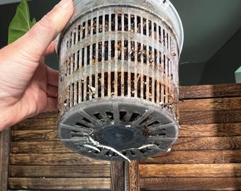 4.3 inch Mesh Pots