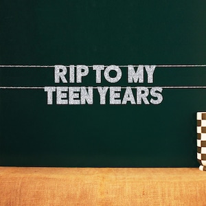 RIP jusqu'à mon adolescence | Décoration de fête pour 20e anniversaire | 20 choix de couleurs