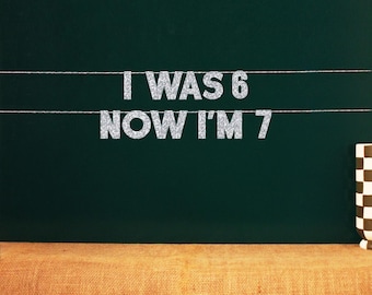 I Was 6 Now I'm 7 | 67 Birthday Party Sign | 67 Party Swag | Six Seven Party Decorations | 20 Color Options