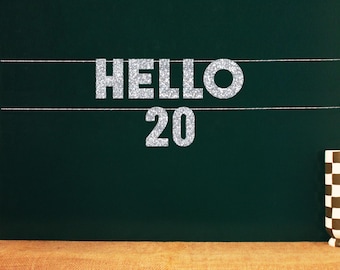 Hello 20 | Twentieth Birthday Party Photo Backdrop | 20 Color Options