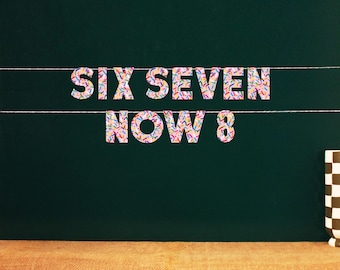 Six Seven Nu 8 | Ontwerp met hagelslag | Bord verjaardagsfeestje 67 | 67 Feestartikelen | Six Seven-feestdecoraties | Strooipatroon