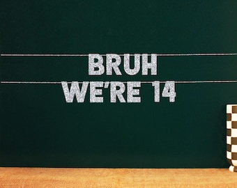 Bruh We're 14 | Fourteenth Birthday Fourteen Party Photo Backdrop | 20 Color Options