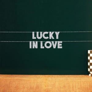 Lucky In Love | Vegas Bachelor/ette Party Decor | 20 Color Options