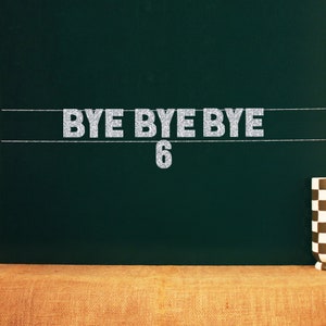 Bye Bye Bye 6 | 7th Birthday Decor | 20 Color Options