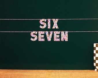 Zes Zeven | Ontwerp met hagelslag | Bord verjaardagsfeestje 67 | 67 Feestartikelen | Six Seven-feestdecoraties | Hagelslagprint