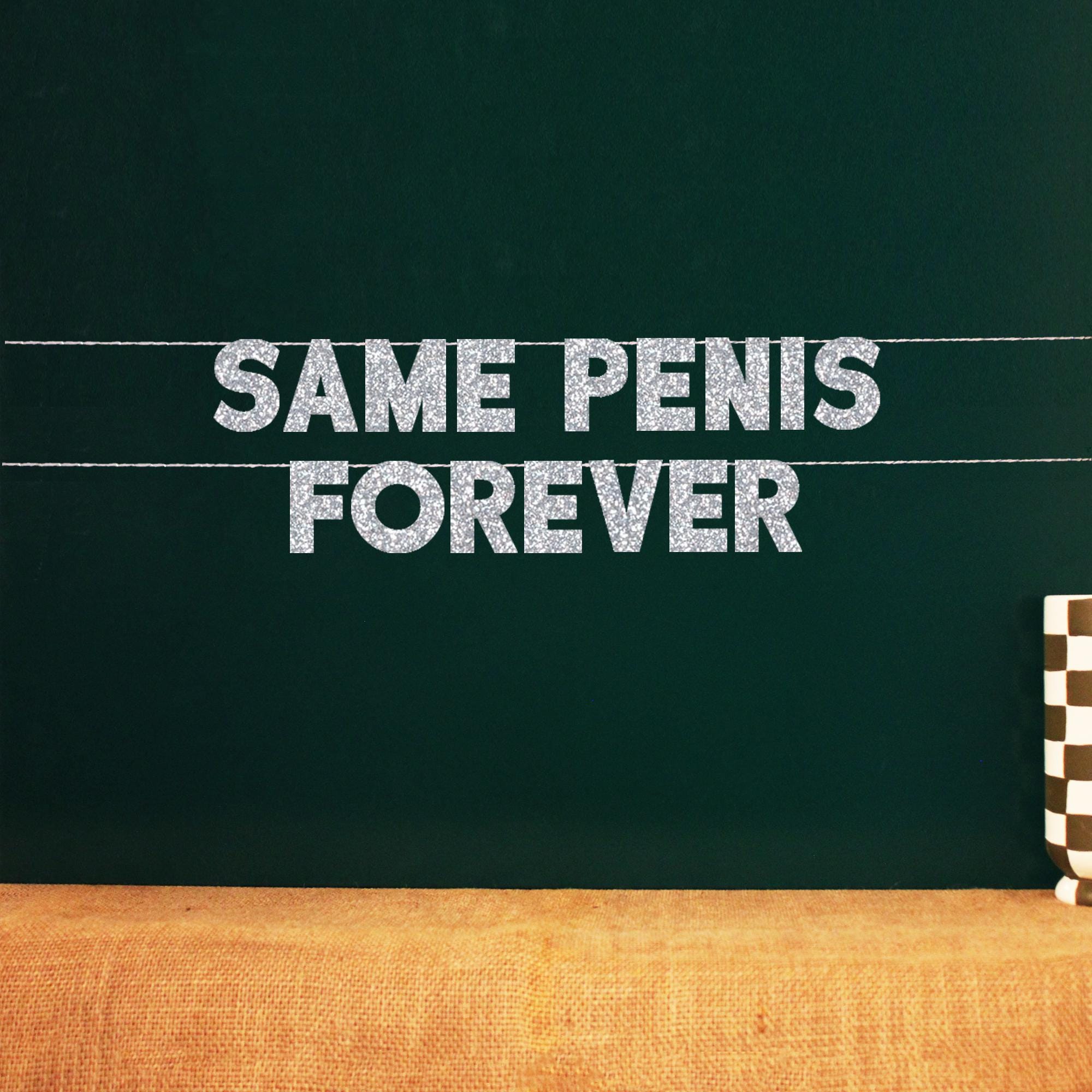 Same Penis Forever Bunting Banner - Hot Pink & Gold/Silver, Bride Bachelorette Party Decor