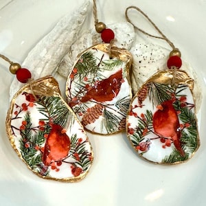 May include: Three Christmas ornaments made from oyster shells with a gold trim. Each shell features a red cardinal bird, pine branches, and red berries on a white background.