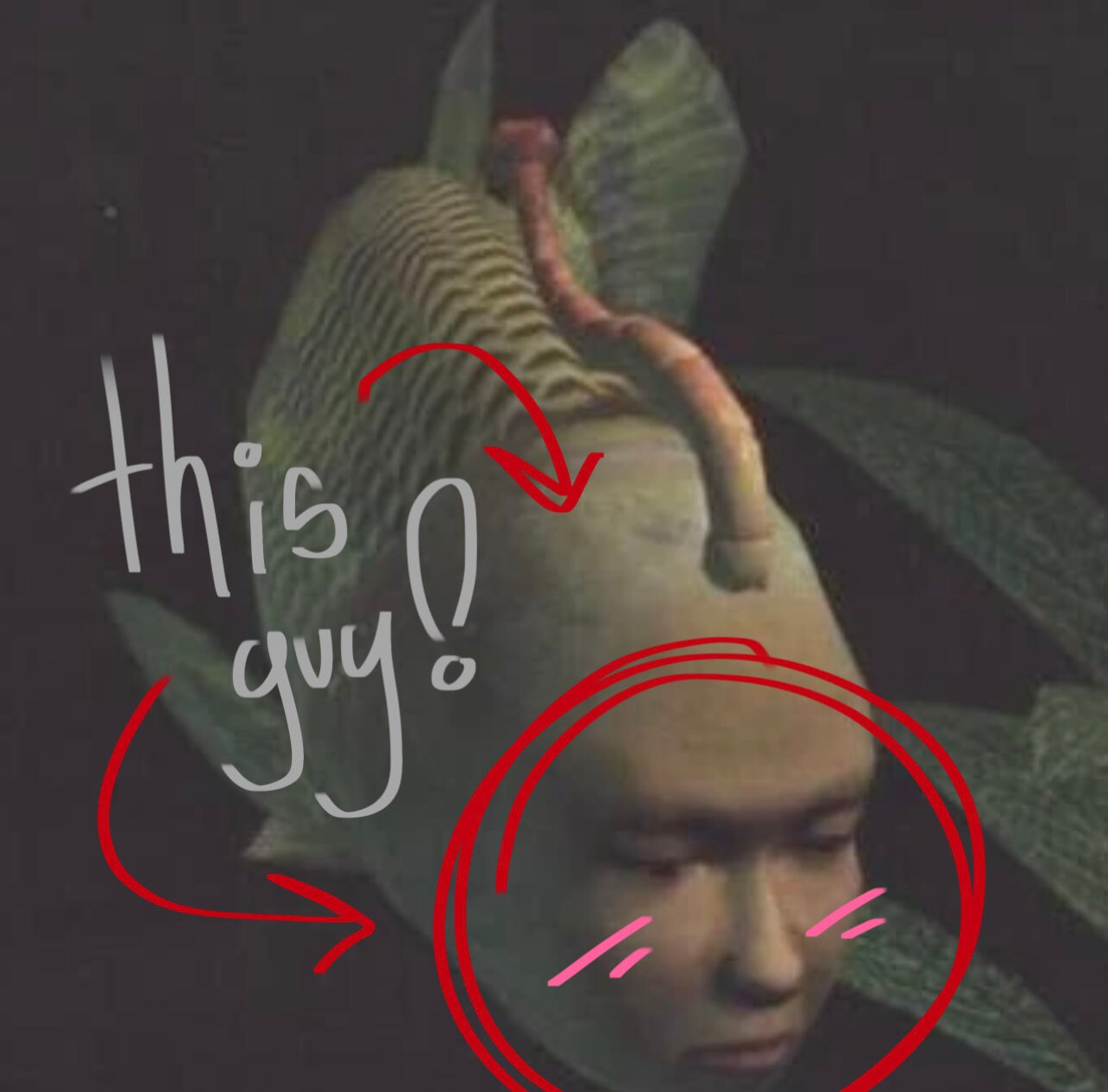 PREORDER Jerma985 Seaman Fish Psychiatrist Double Sided 3 Inch Acrylic Keychain Etsy