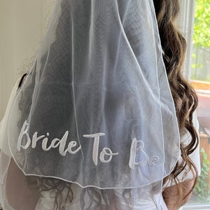 Bachelorette Veil Embroidered Bride to be Veil for Hen DO, Hen Party Veil, Hen Party gift bridal Shower veil, BACH Party Veil Mini Veil