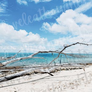 Grand Turk-Turks & Caicos Driftwood Beach Digital Art Instant Download
