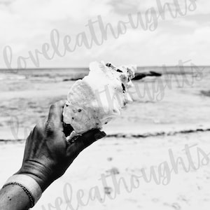 Grand Turk-Turks & Caicos Shell Black and White Beach Digital Art Instant Download